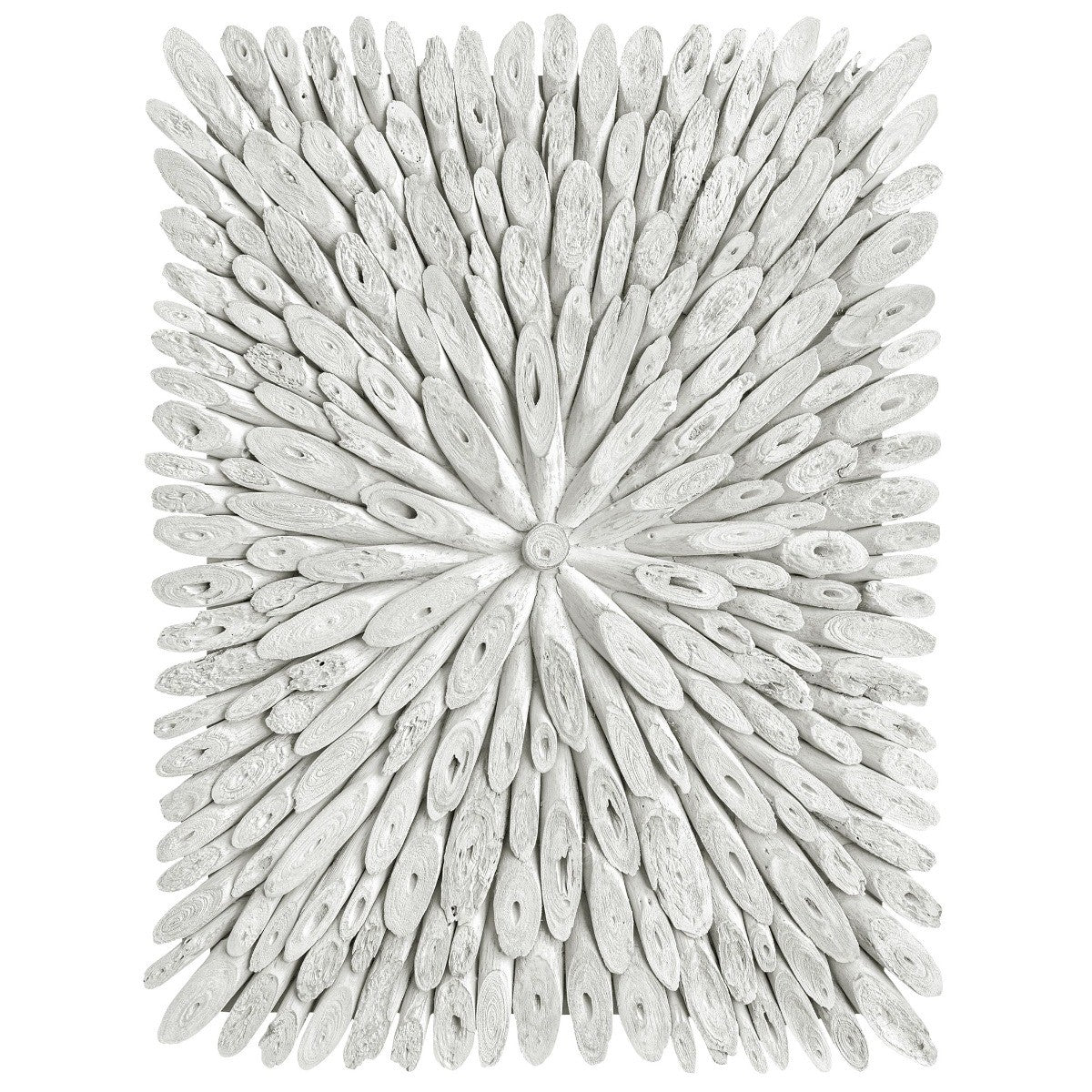 Bahama Wood Whitewashed Wall Decor by Uttermost