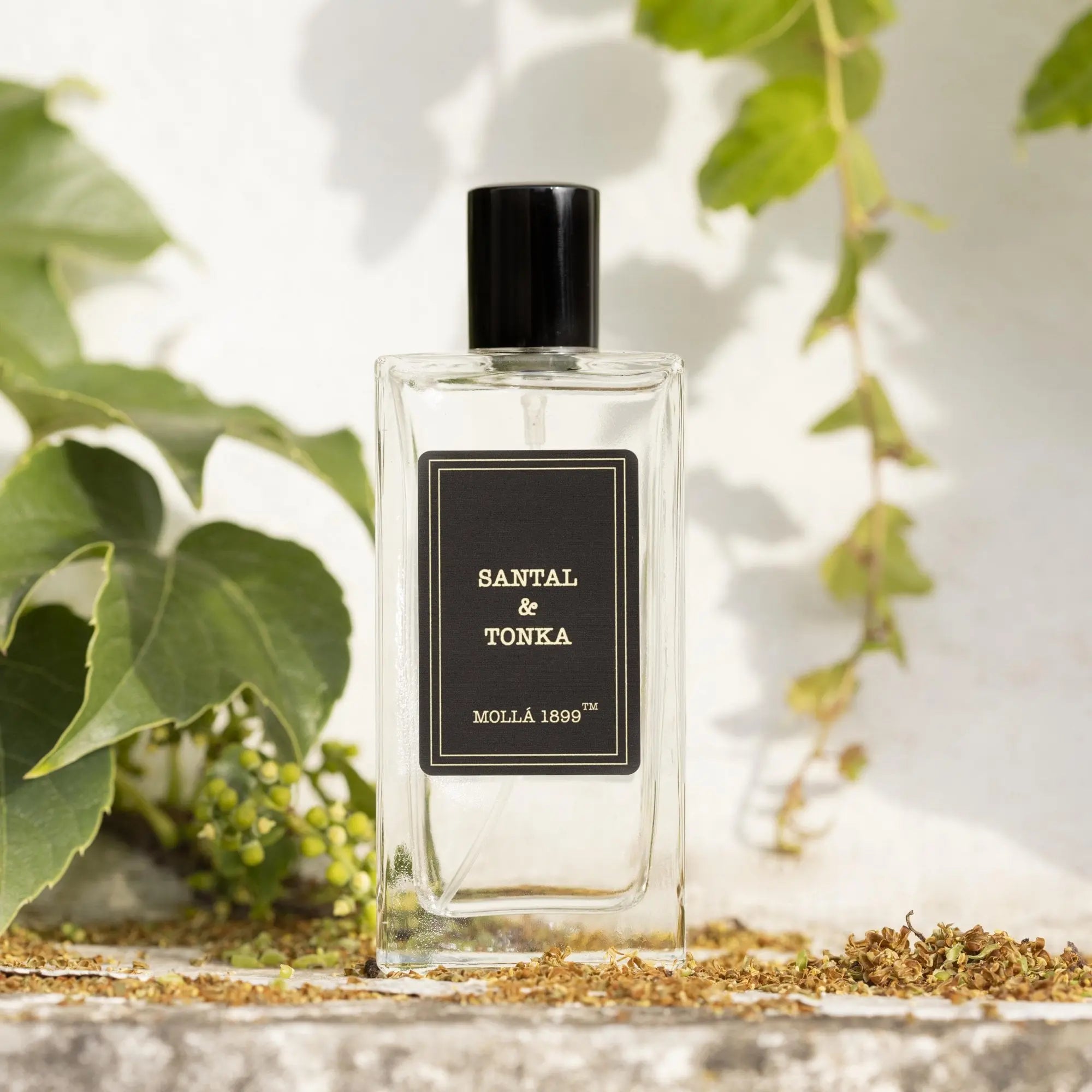 100ml Santal & Tonka Fragrance Spray by Cereria Molla