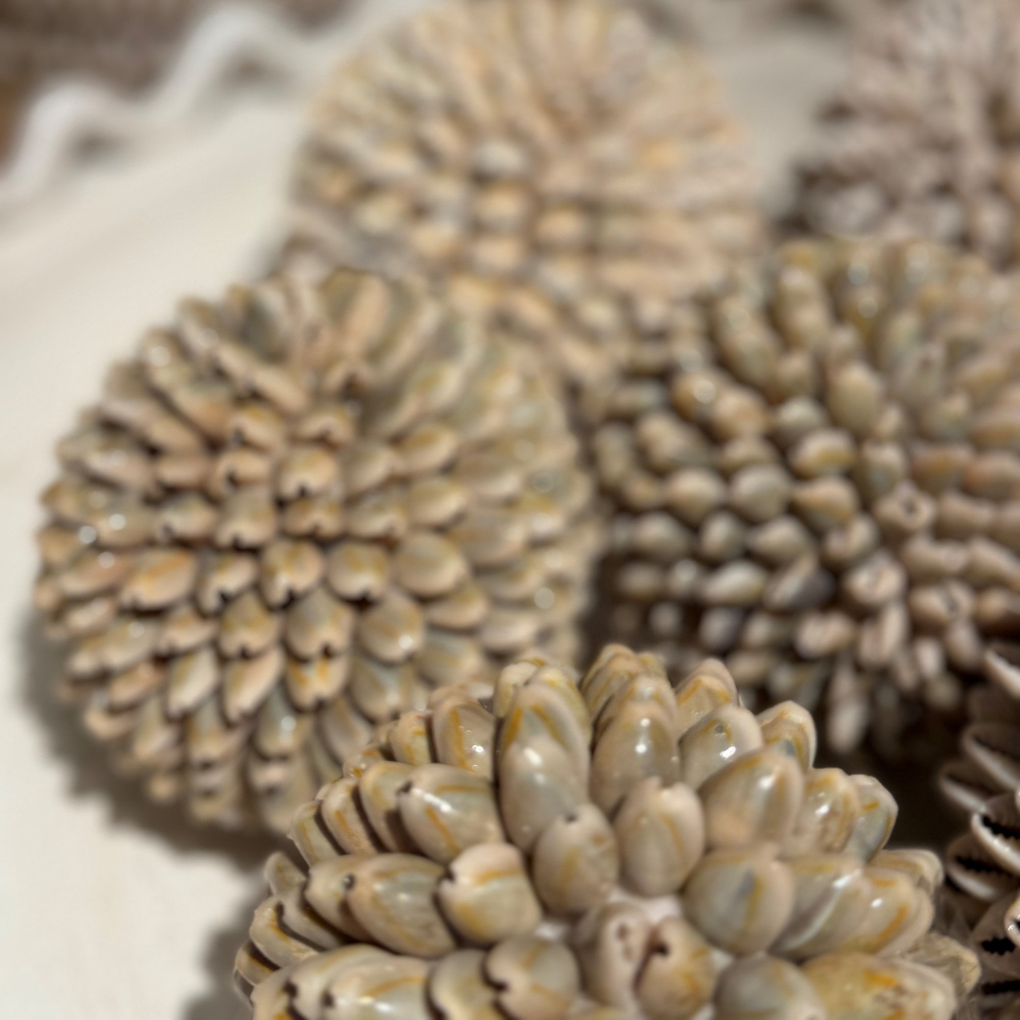 Small Shell Ball Decoration by Kensington