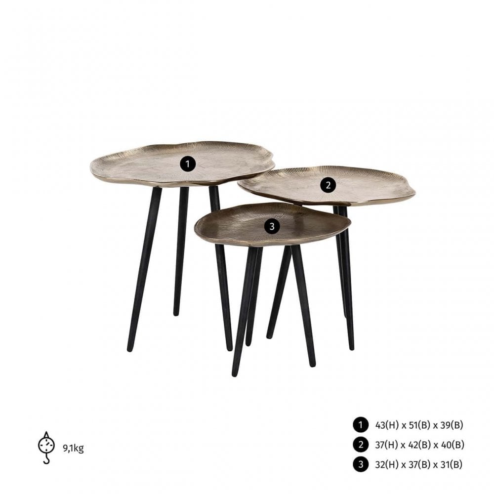 Volenta Champagne Gold Coffee Table Set of 3 by Richmond Interiors