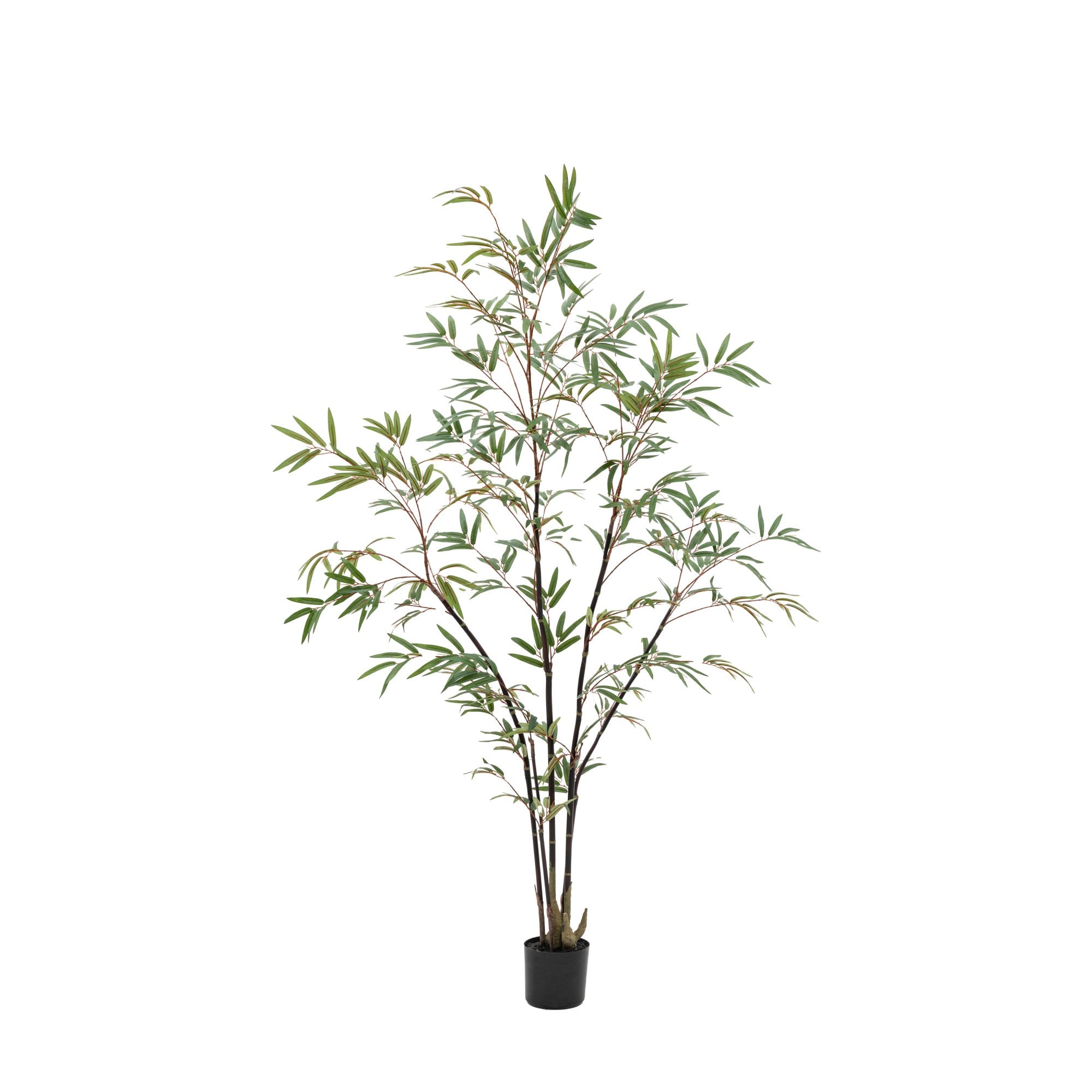 Potted Bamboo Tree 5ft by Abode