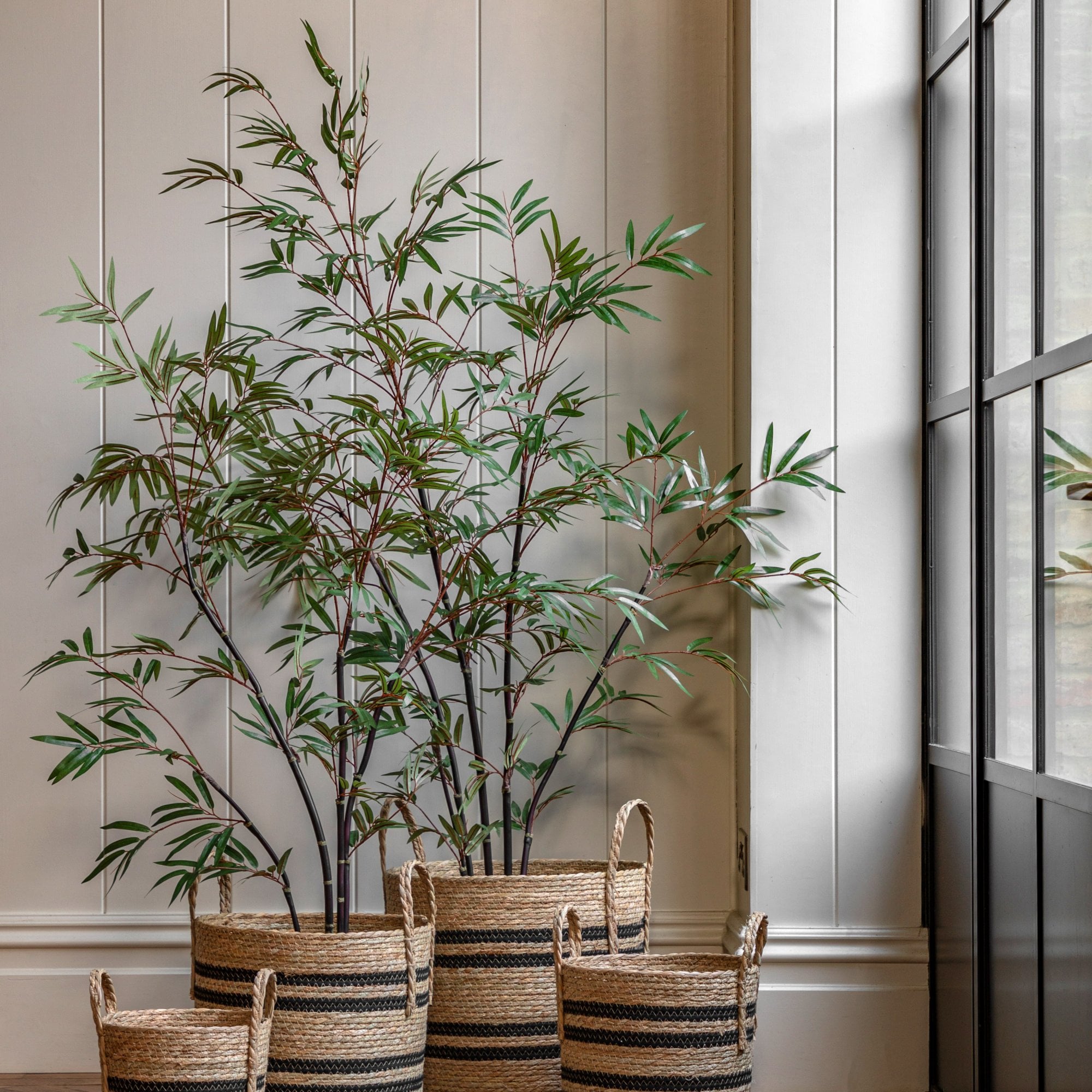 Potted Bamboo Tree 5ft by Abode