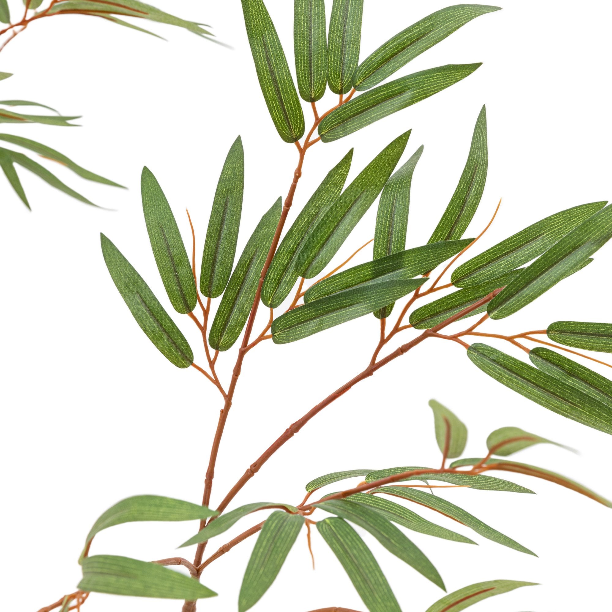 Potted Bamboo Tree 5ft by Abode