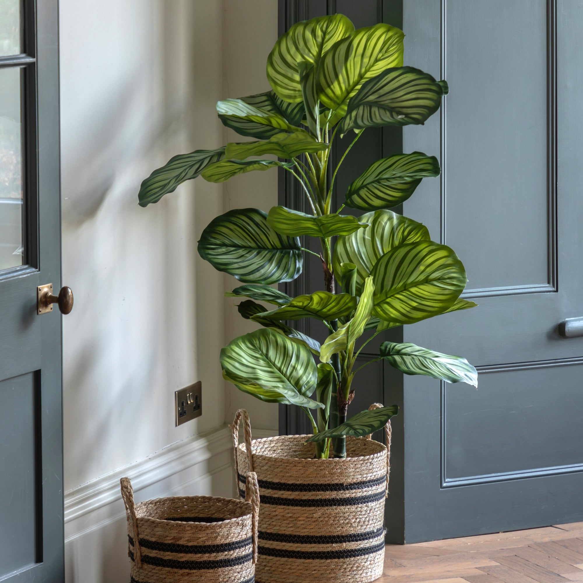 Potted Calathea Leaf Tree 4ft by Abode
