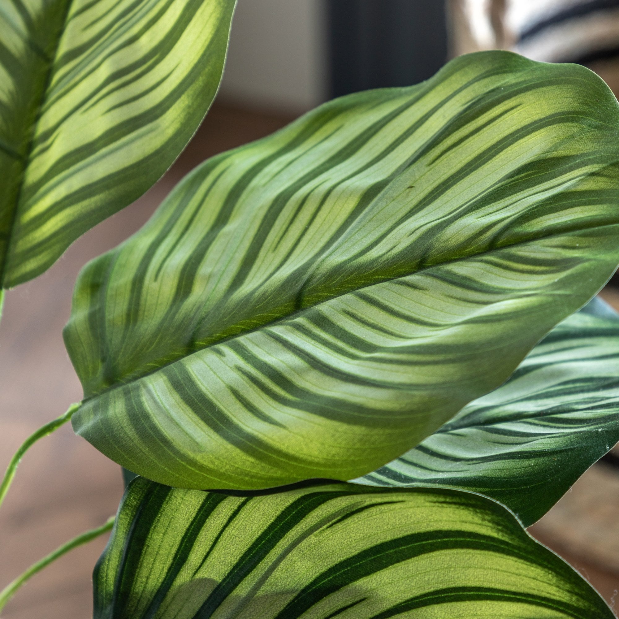 Potted Calathea Leaf Tree 4ft by Abode