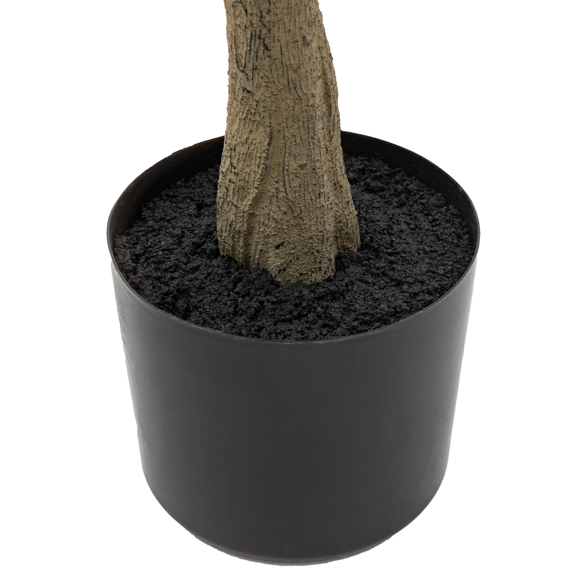 Potted Eucalyptus Tree by Abode