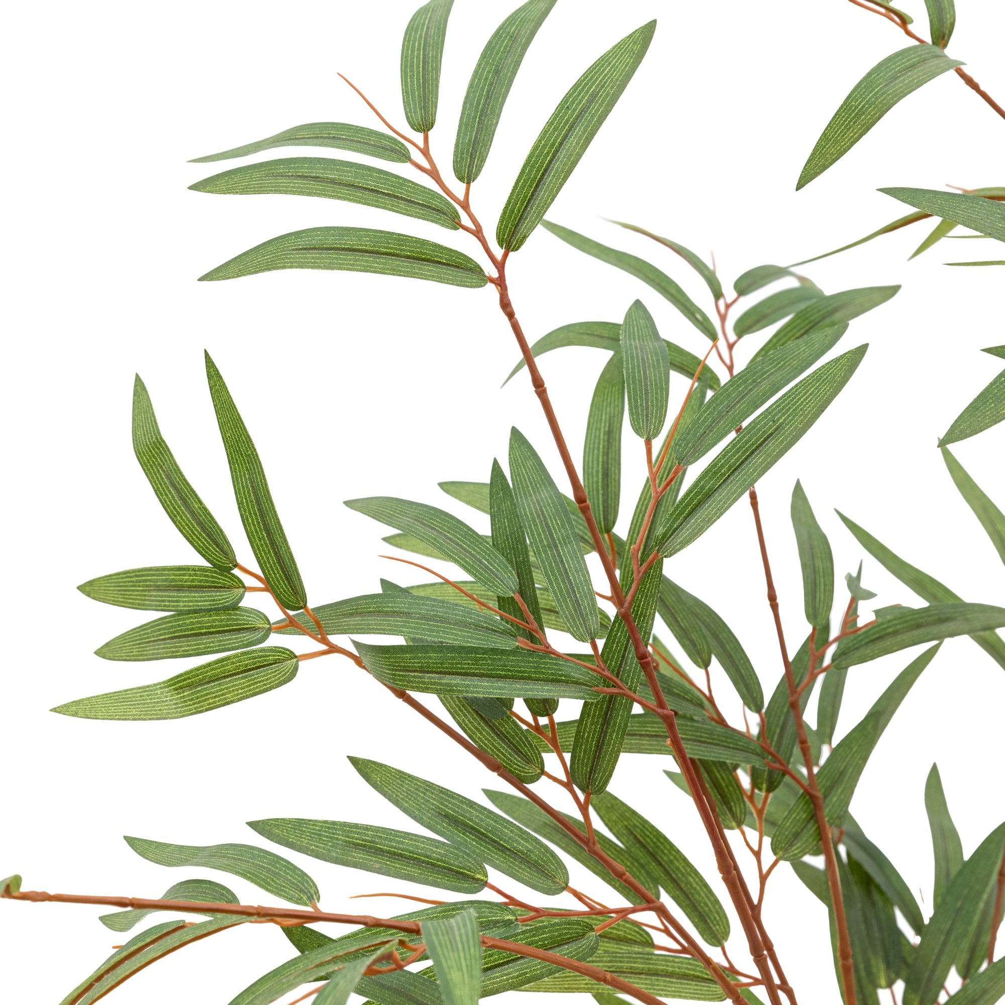 Potted Bamboo Tree 4ft by Abode