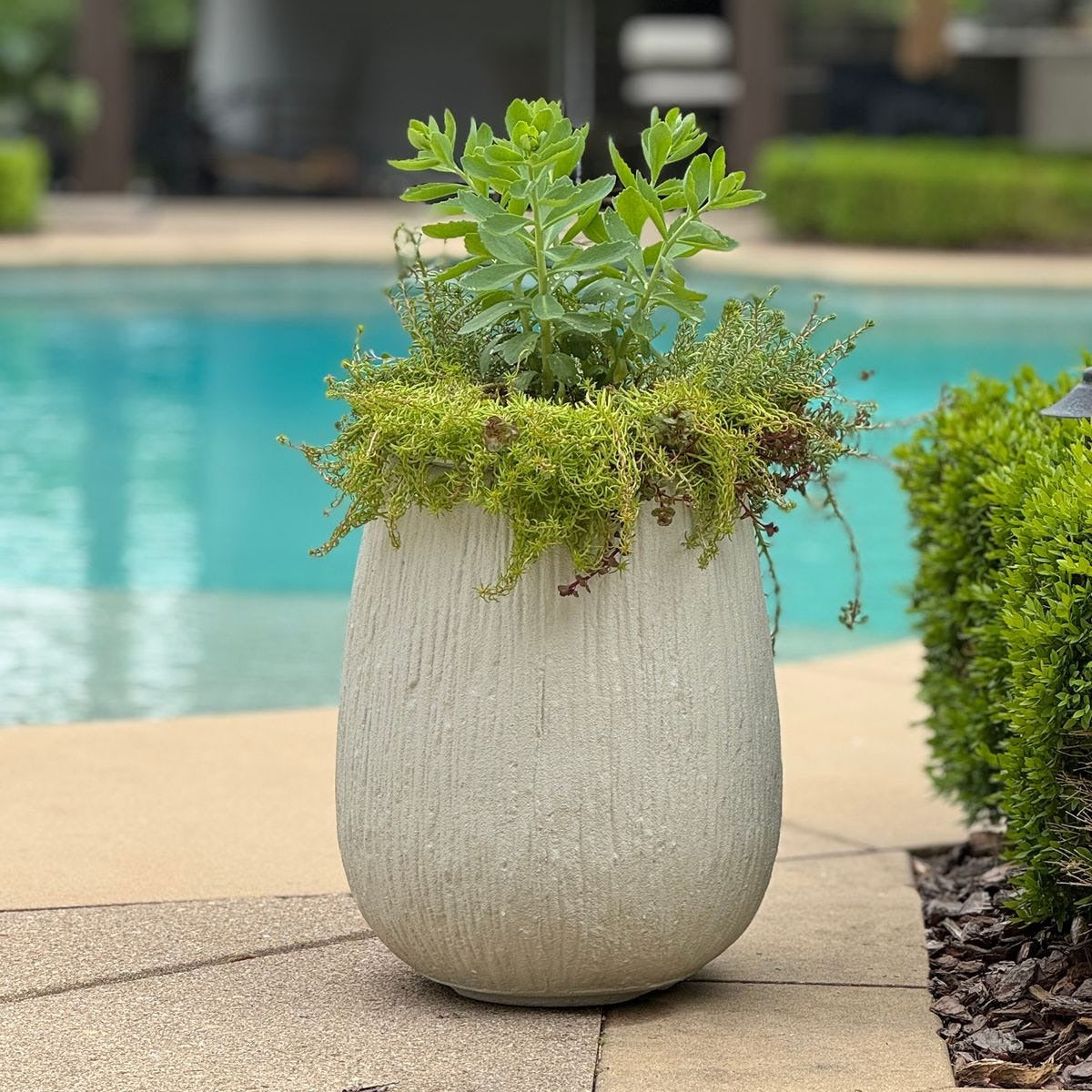 Rustic Ridge Off-White Outdoor Planter by Uttermost