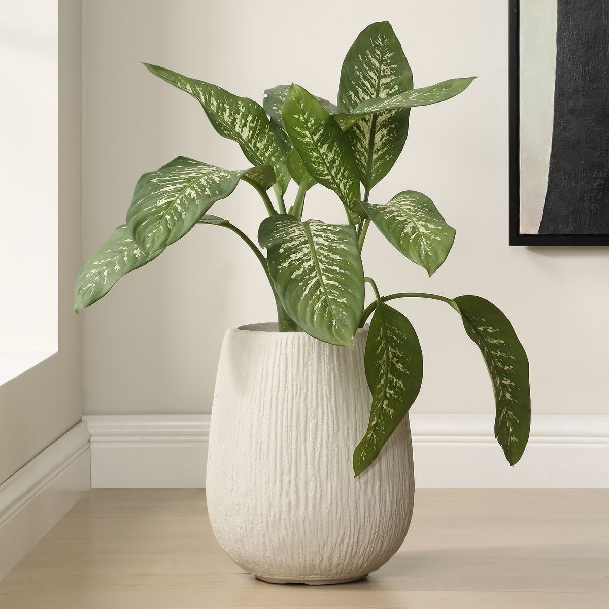 Rustic Ridge Off-White Outdoor Planter by Uttermost