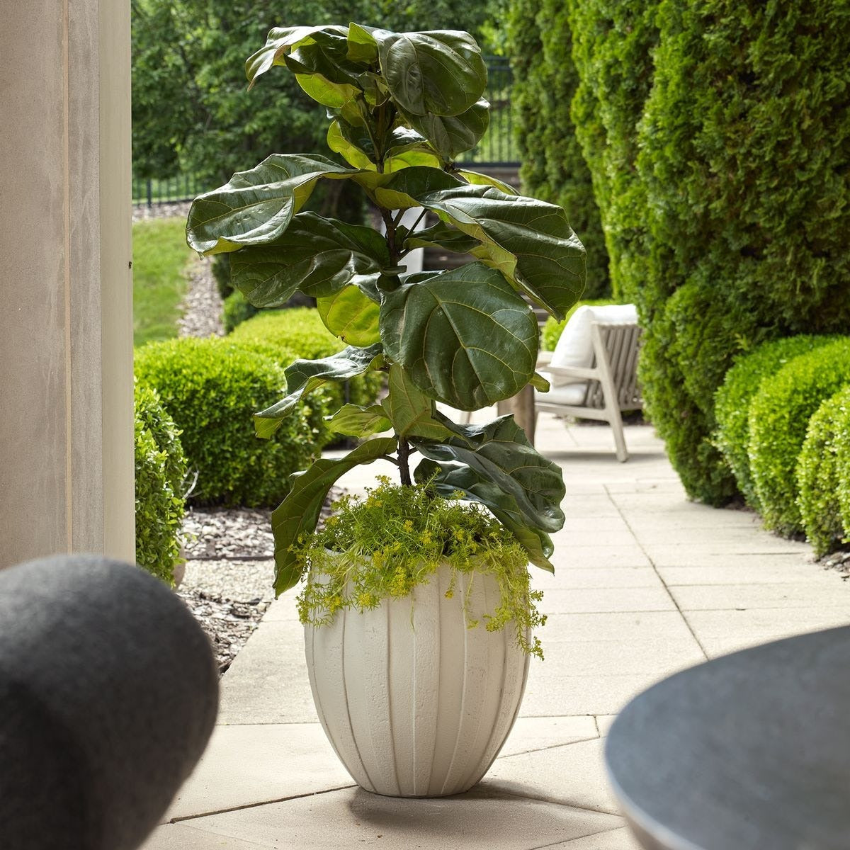 Ridgehaven Textured Outdoor Planter by Uttermost