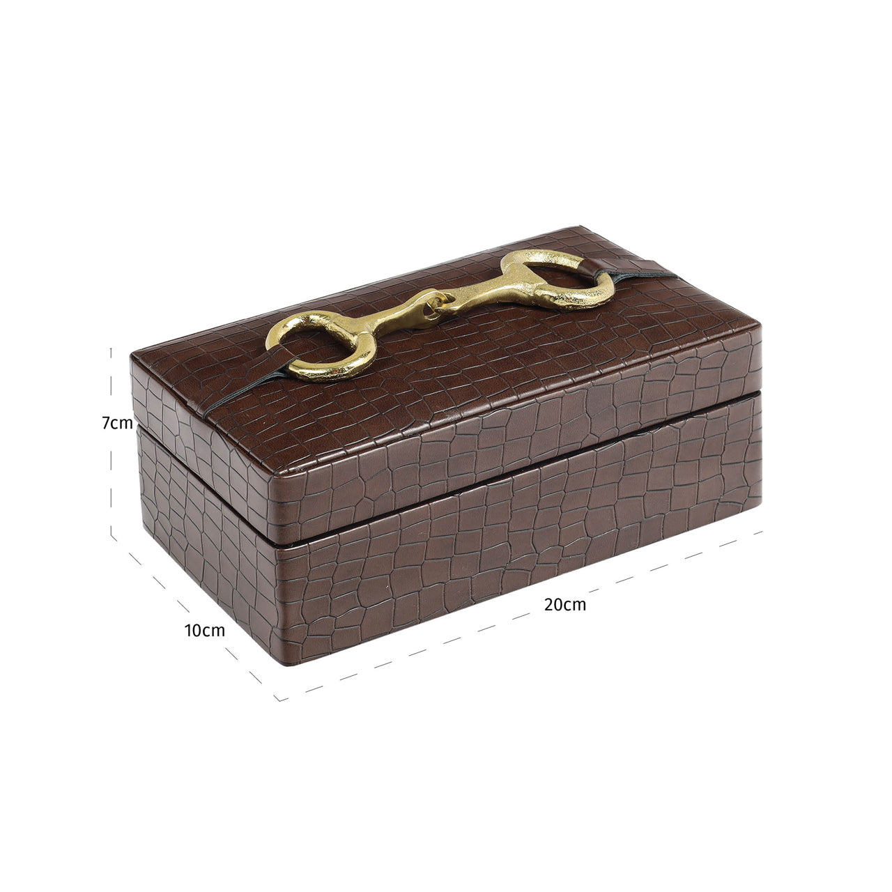 Rex Dark Brown Storage Box - Small by Richmond Interiors