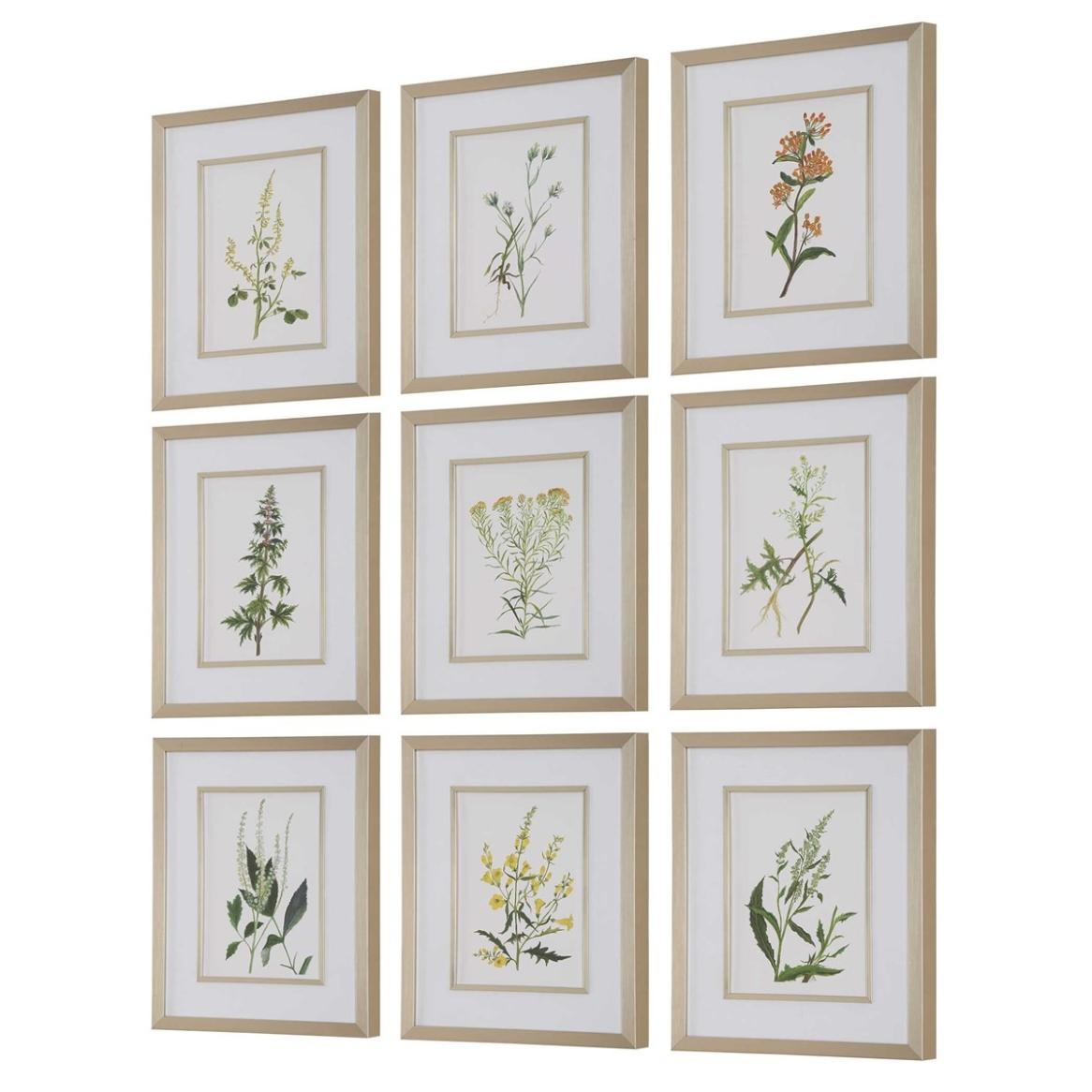 Botanical Flowers Framed Prints - Set of 9 by Uttermost