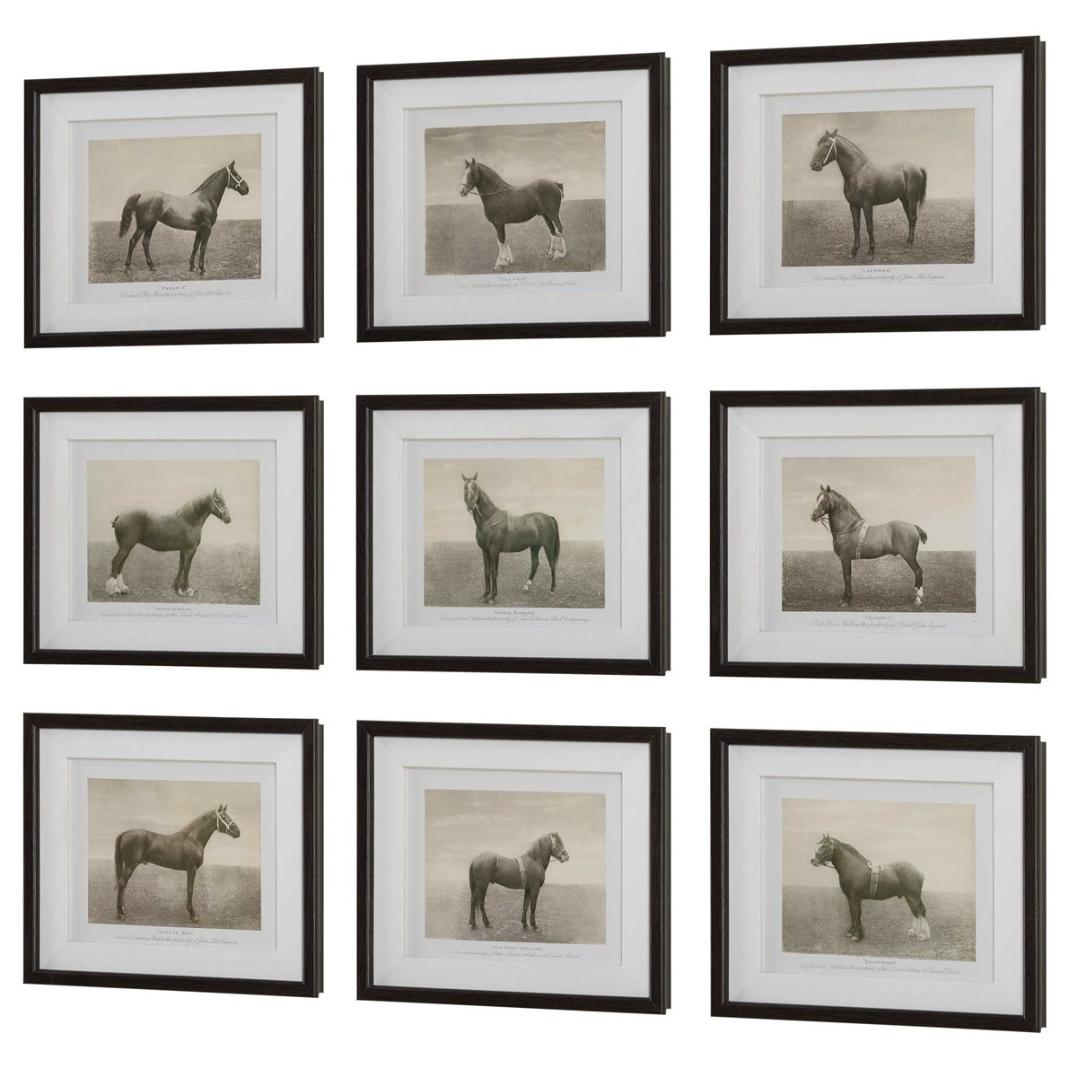 Equine Dynasty Framed Prints - Set of 9 by Uttermost