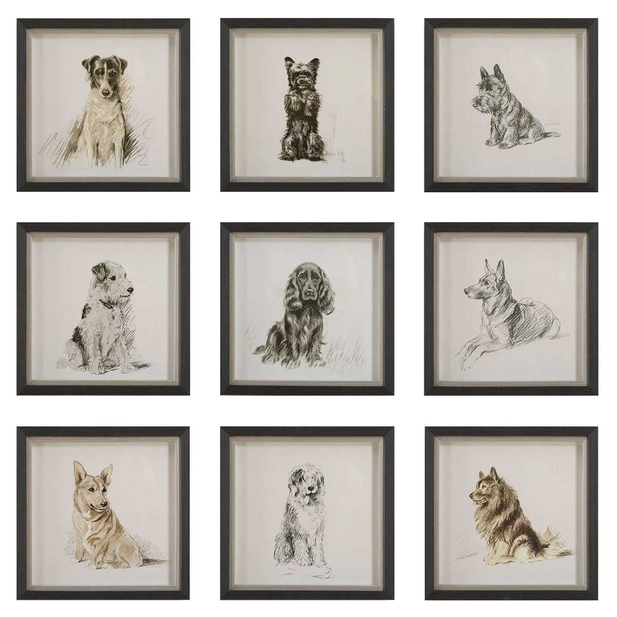 Loyal Companion Framed Dog Prints - Set of 9 by Uttermost