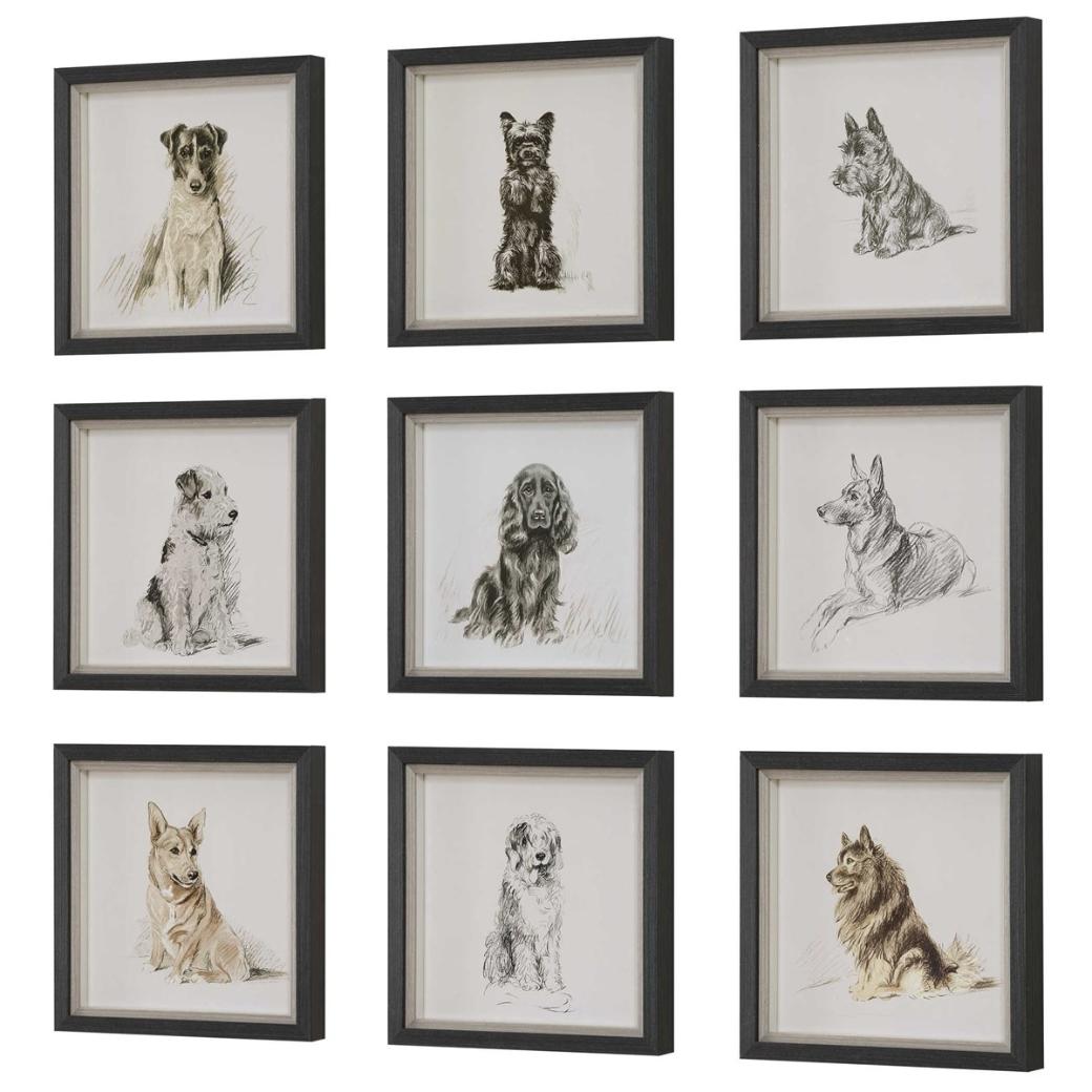 Loyal Companion Framed Dog Prints - Set of 9 by Uttermost