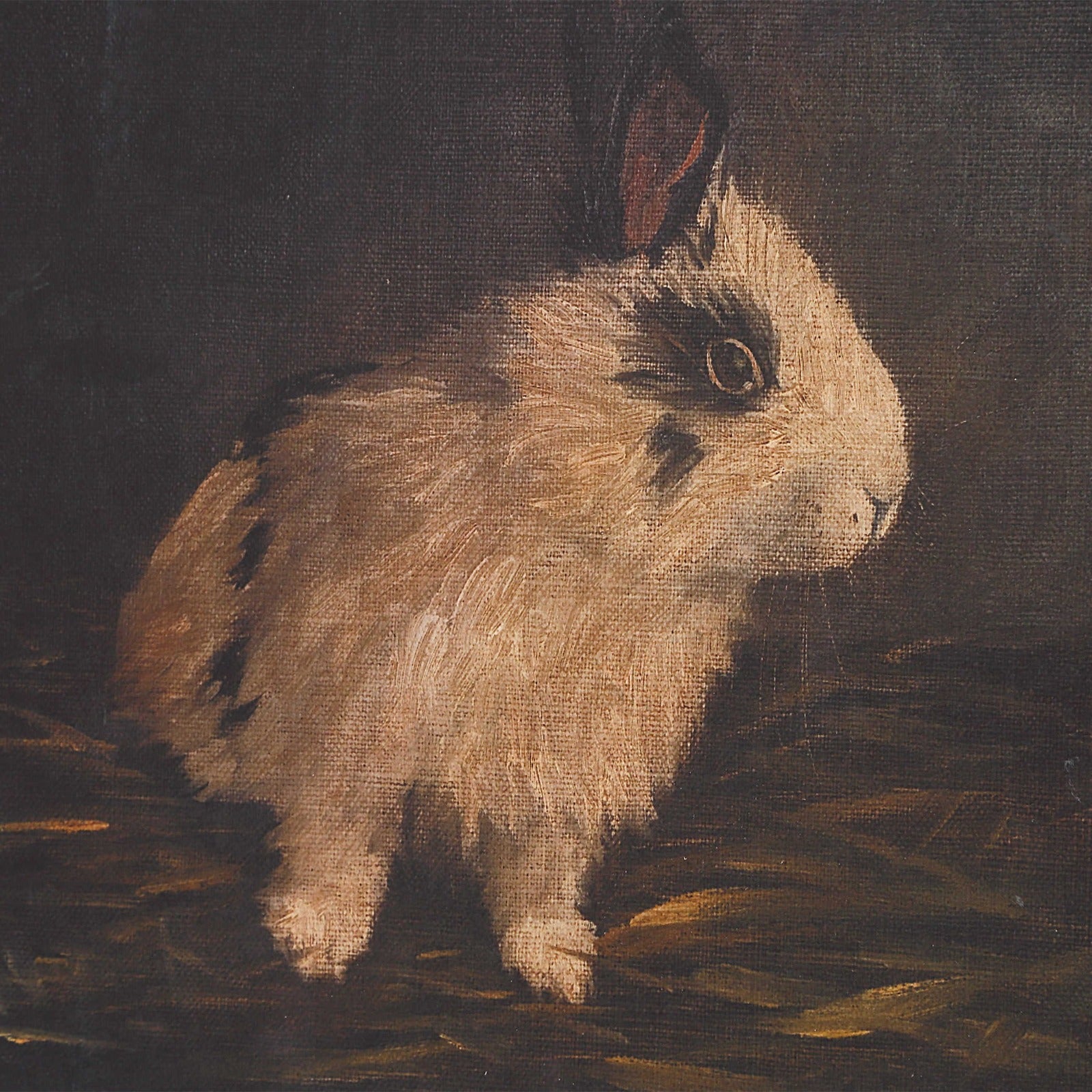 Resting Bunny Framed Prints Set of 9 by Uttermost