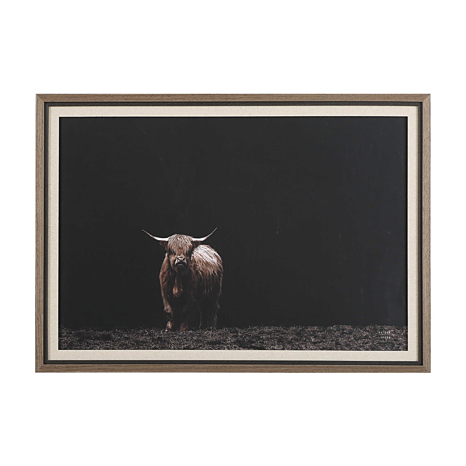 King of the Hill Highland Cow Photography Print by Uttermost