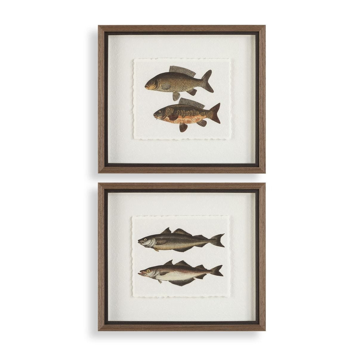 The Catch Framed Fish Prints Set of 2 by Uttermost