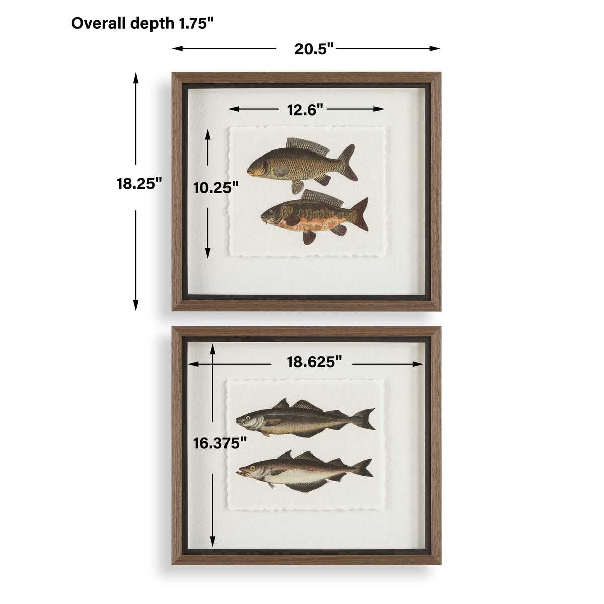 The Catch Framed Fish Prints Set of 2 by Uttermost
