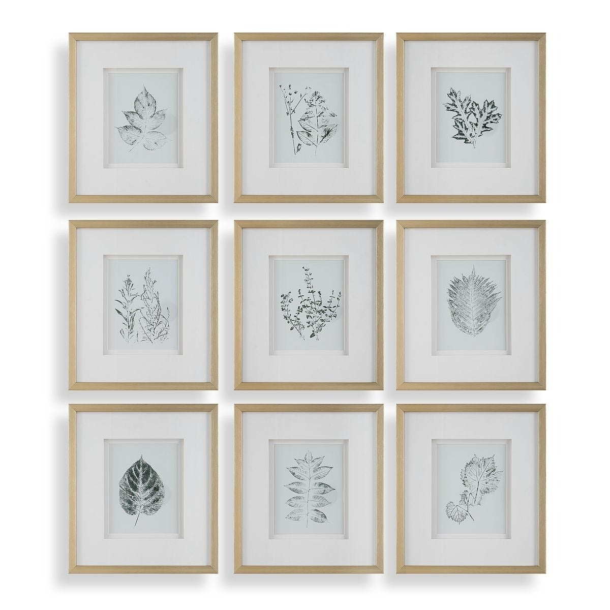Nature's Script Framed Botanical Prints Set of 9 by Uttermost
