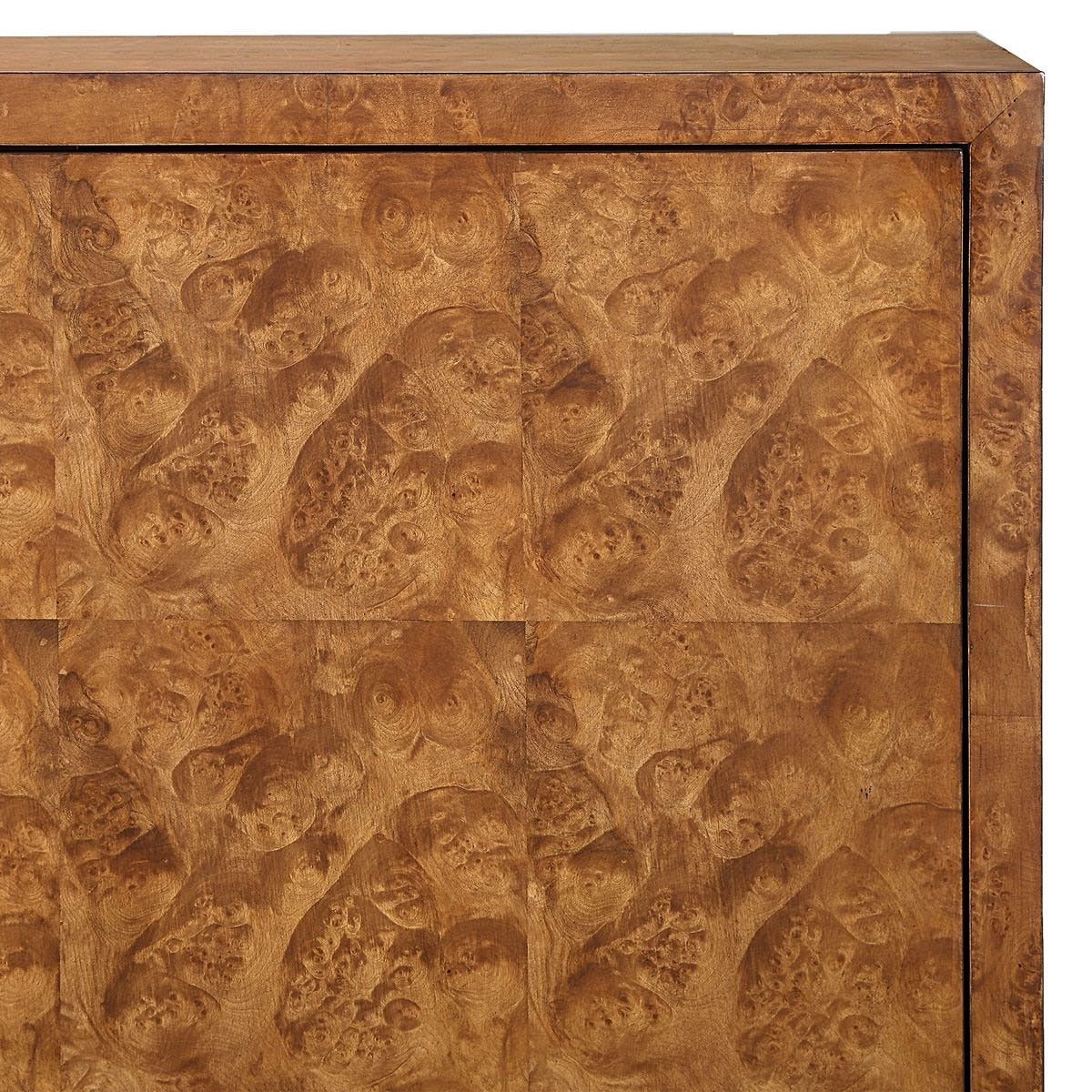 Jethro Burl 2 Door Cabinet by Uttermost
