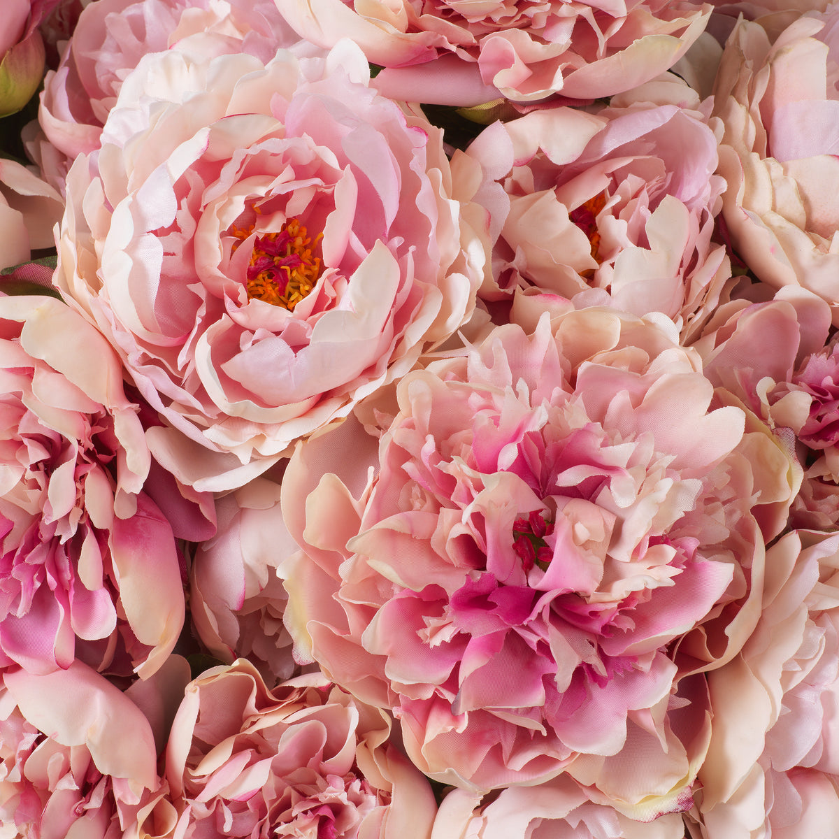 Bouquet Of Peonies Pink Tones Real Touch 48 Pieces / 2 Varieties Eichholtz