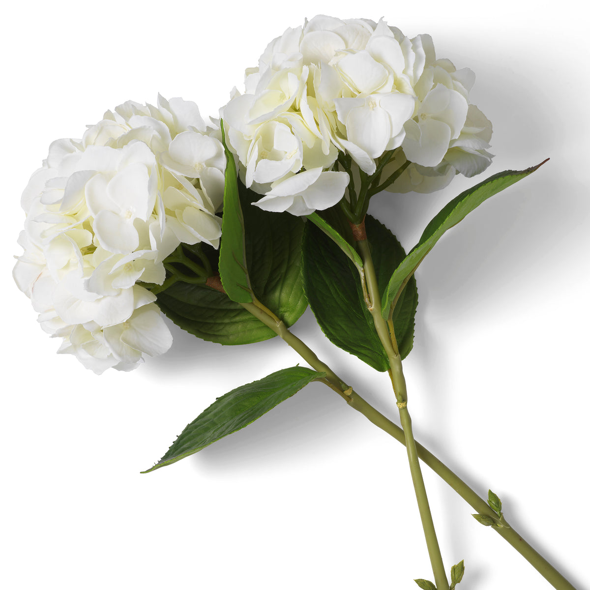 Bouquet Of Hydrangeas White Tones Real Touch 48 Pieces / 2 Varieties Eichholtz