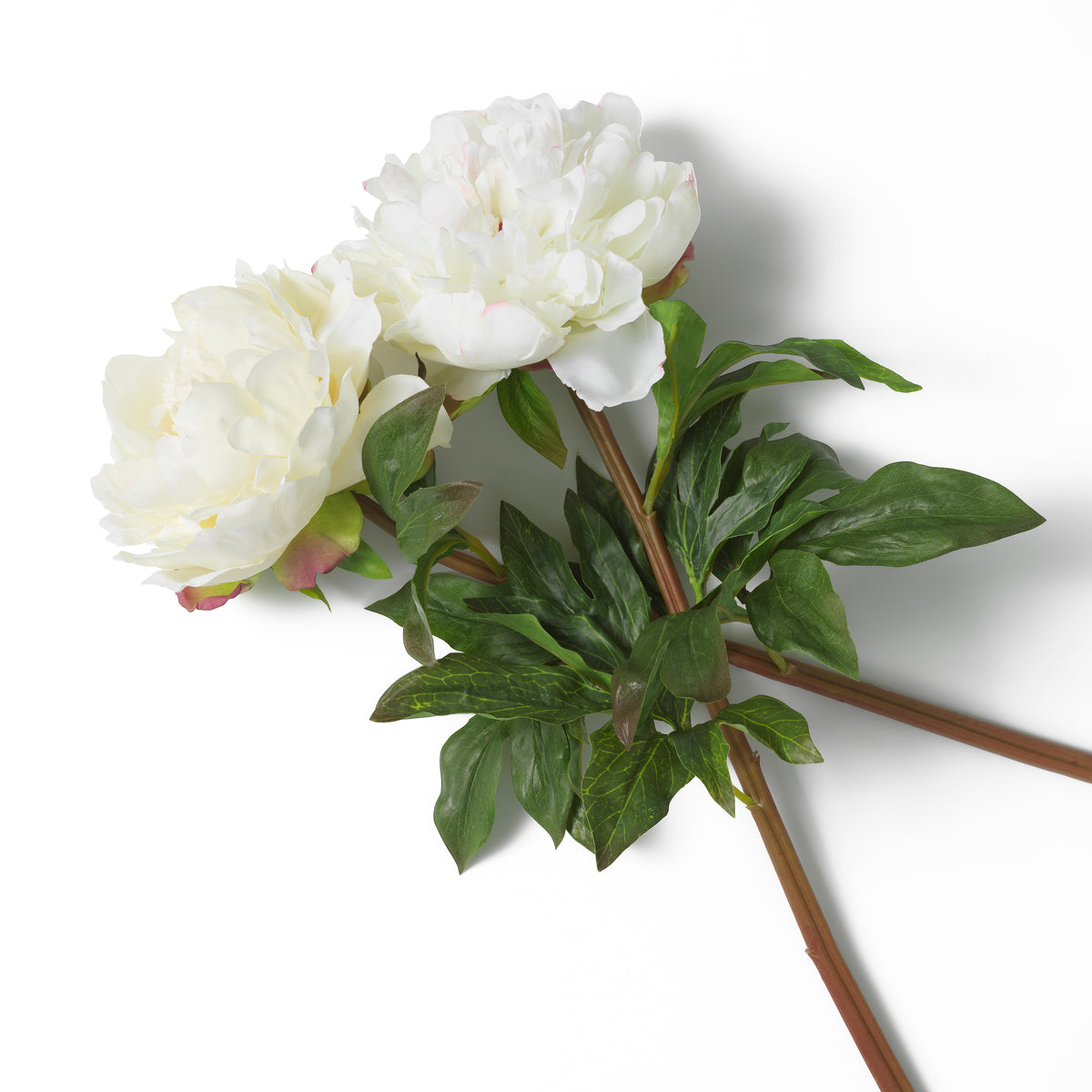 Bouquet Of Peonies White Tones Real Touch 48 Pieces / 2 Varieties Eichholtz