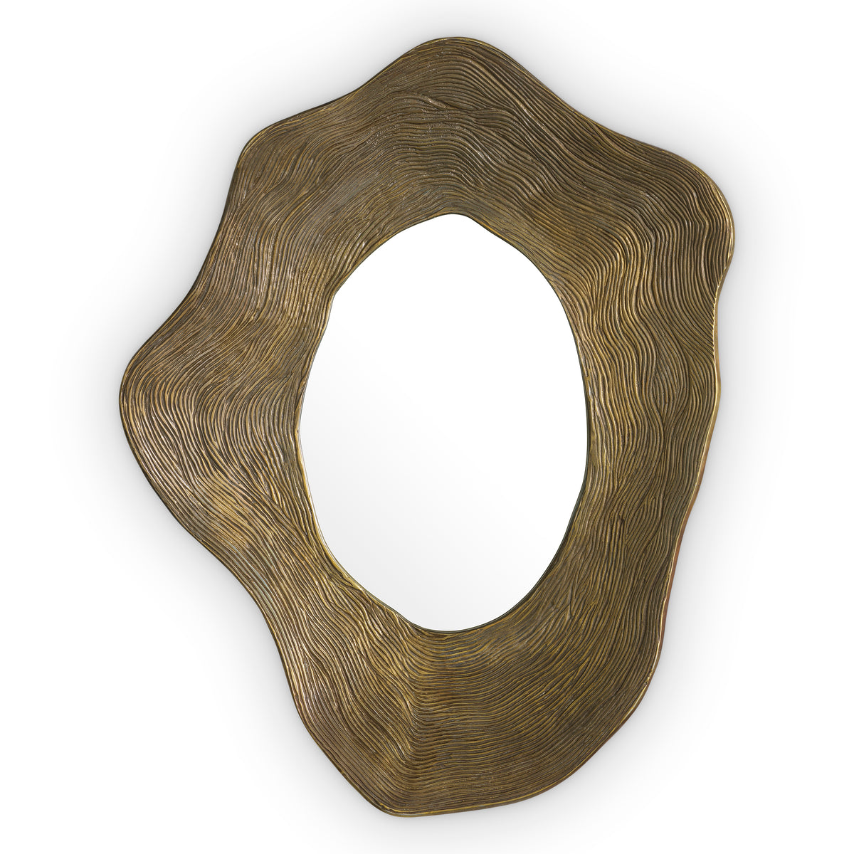 Mirror Pavona Vintage Brass Finish Eichholtz