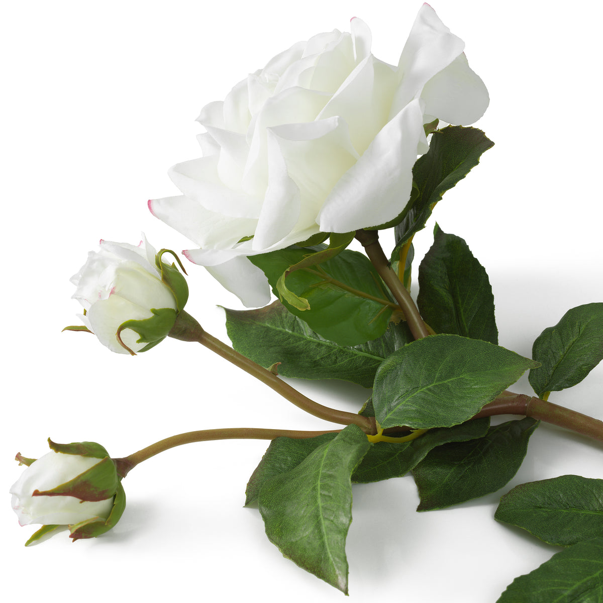 Bouquet Of Roses Two Tone White Real Touch 72 Pieces / 2 Varieties Eichholtz