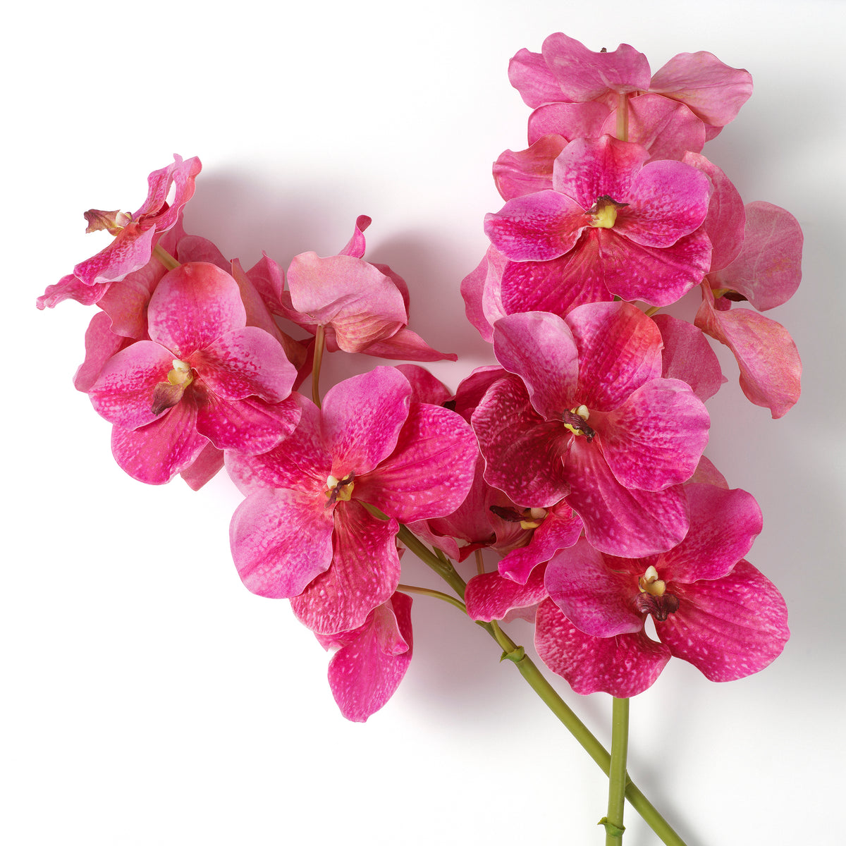 Bouquet Of Vanda Orchids Pink Real Touch 24 Pieces Eichholtz