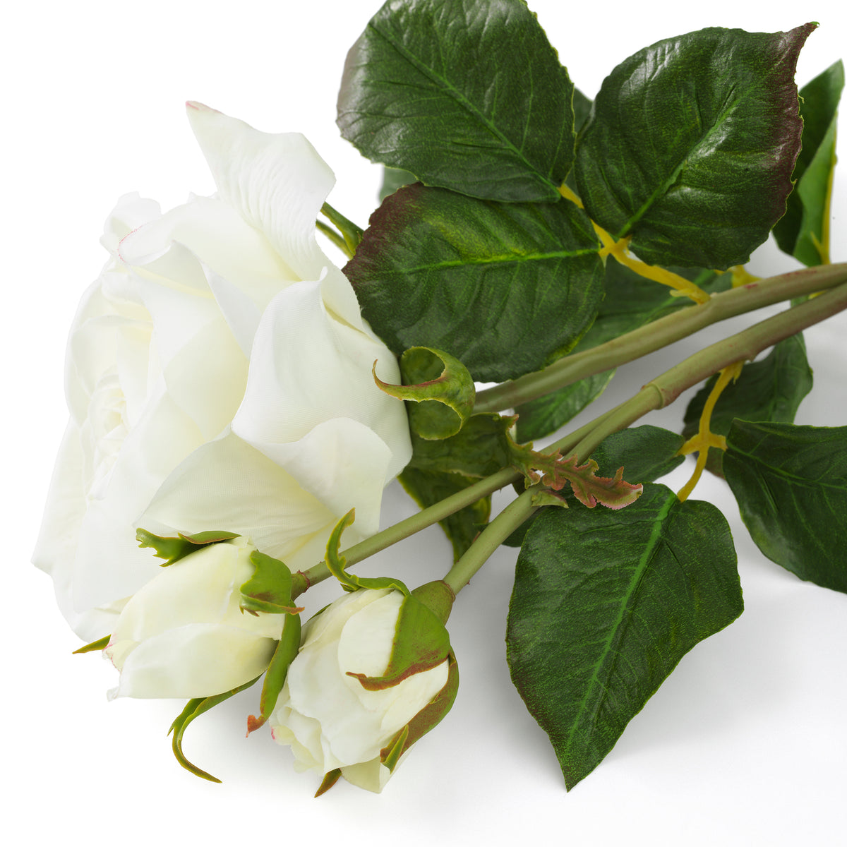 Bouquet Of Roses Three Tone White Real Touch 72 Pieces / 3 Varieties Eichholtz