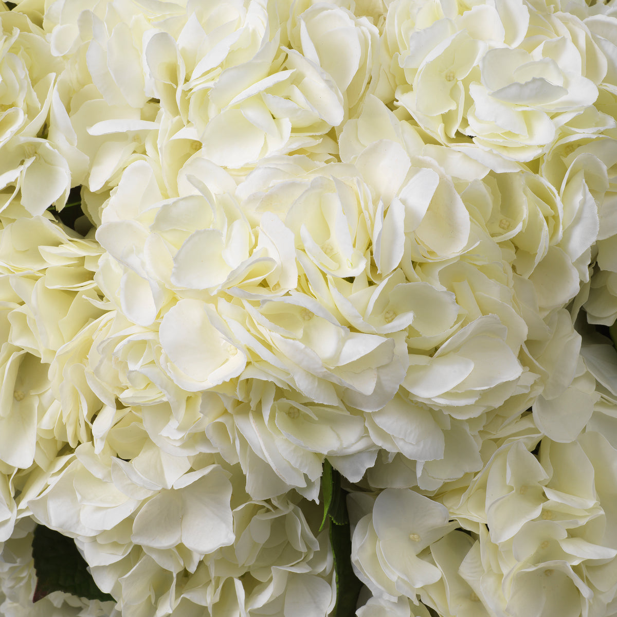 Bouquet Of Hydrangeas White Tones Real Touch 48 Pieces / 2 Varieties Eichholtz