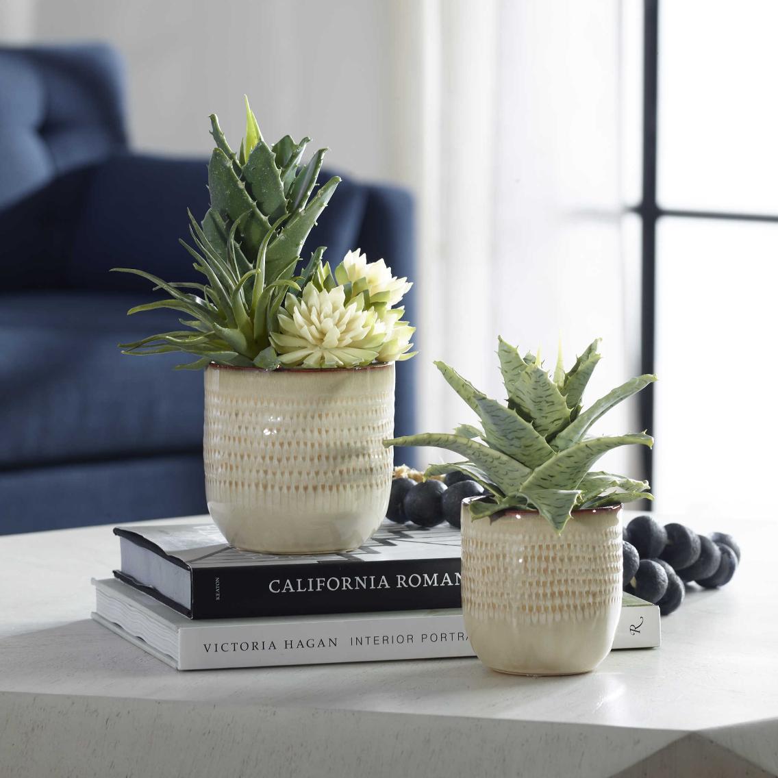 Seaside Succulents - Set of 2 by Uttermost