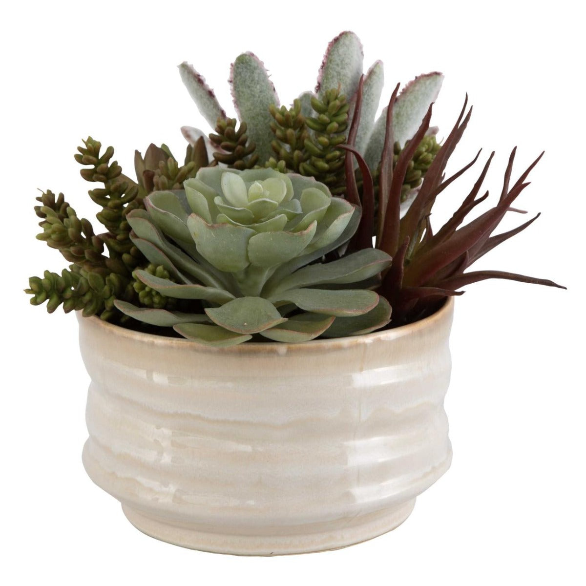 Mesa Succulent Accent by Uttermost