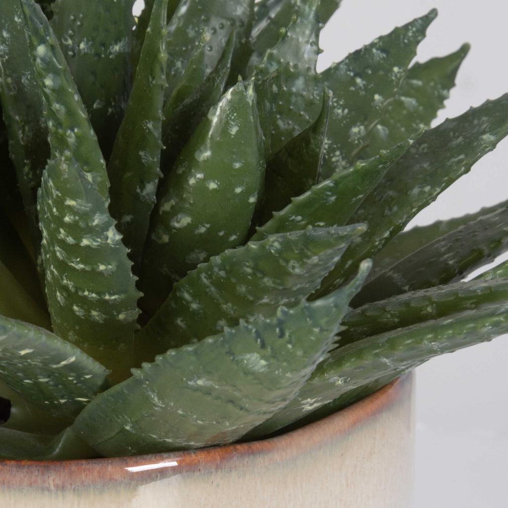 Doha Succulent Accent by Uttermost