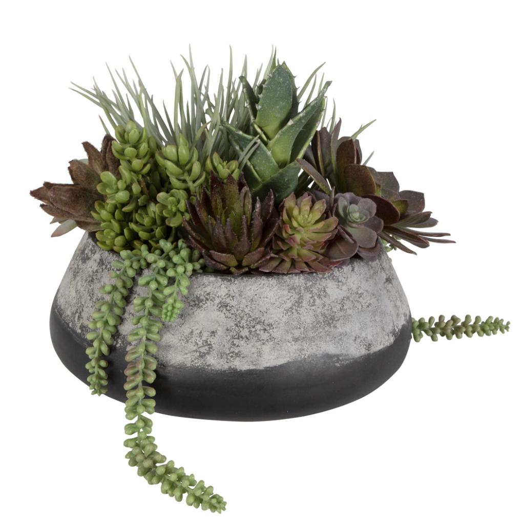 Yuma Succulent Centerpiece by Uttermost