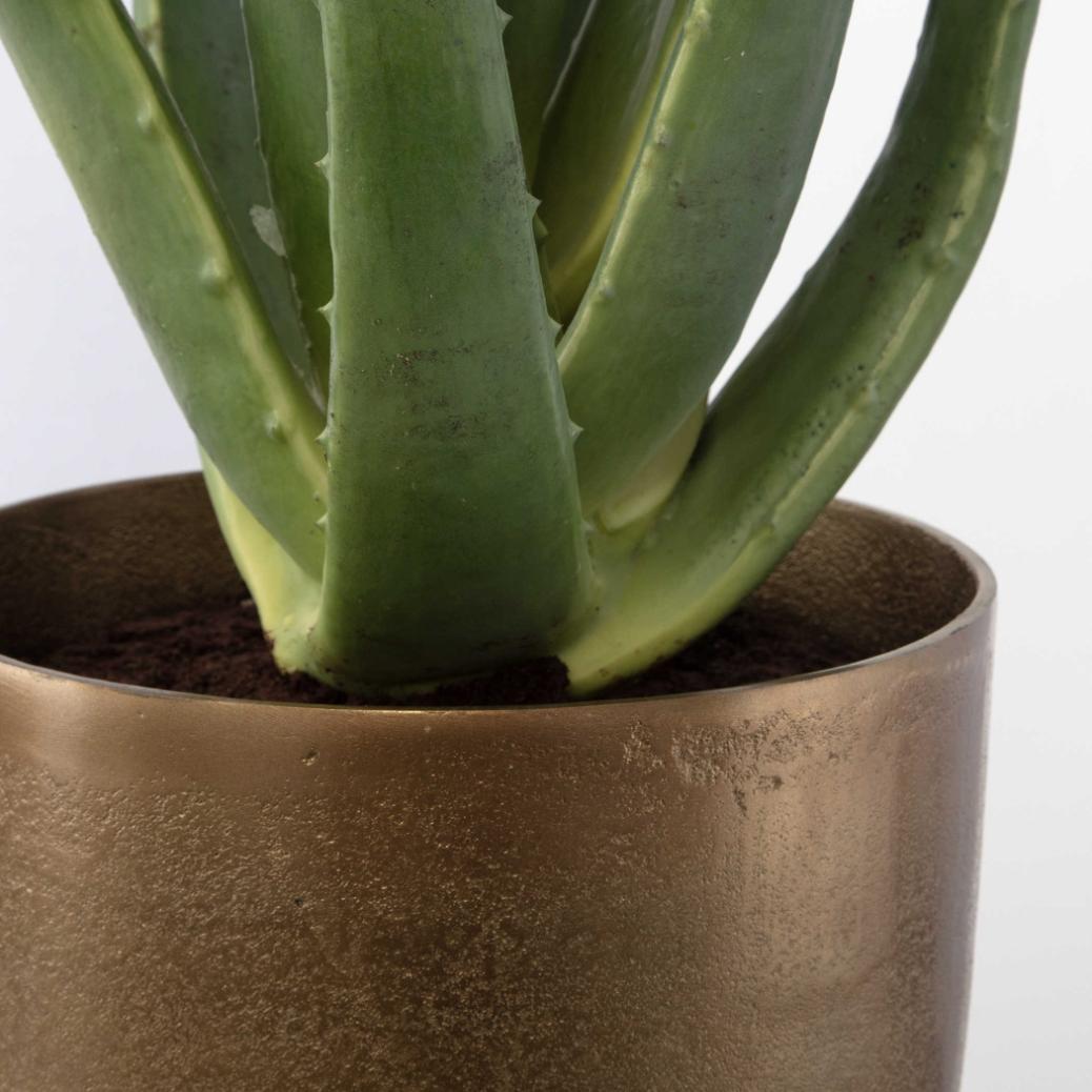 Arabia Aloe Planter by Uttermost