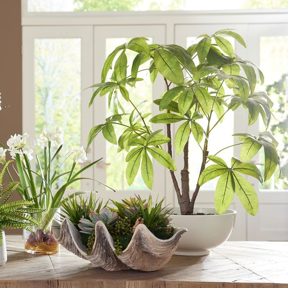 Pachira Money Tree by Uttermost