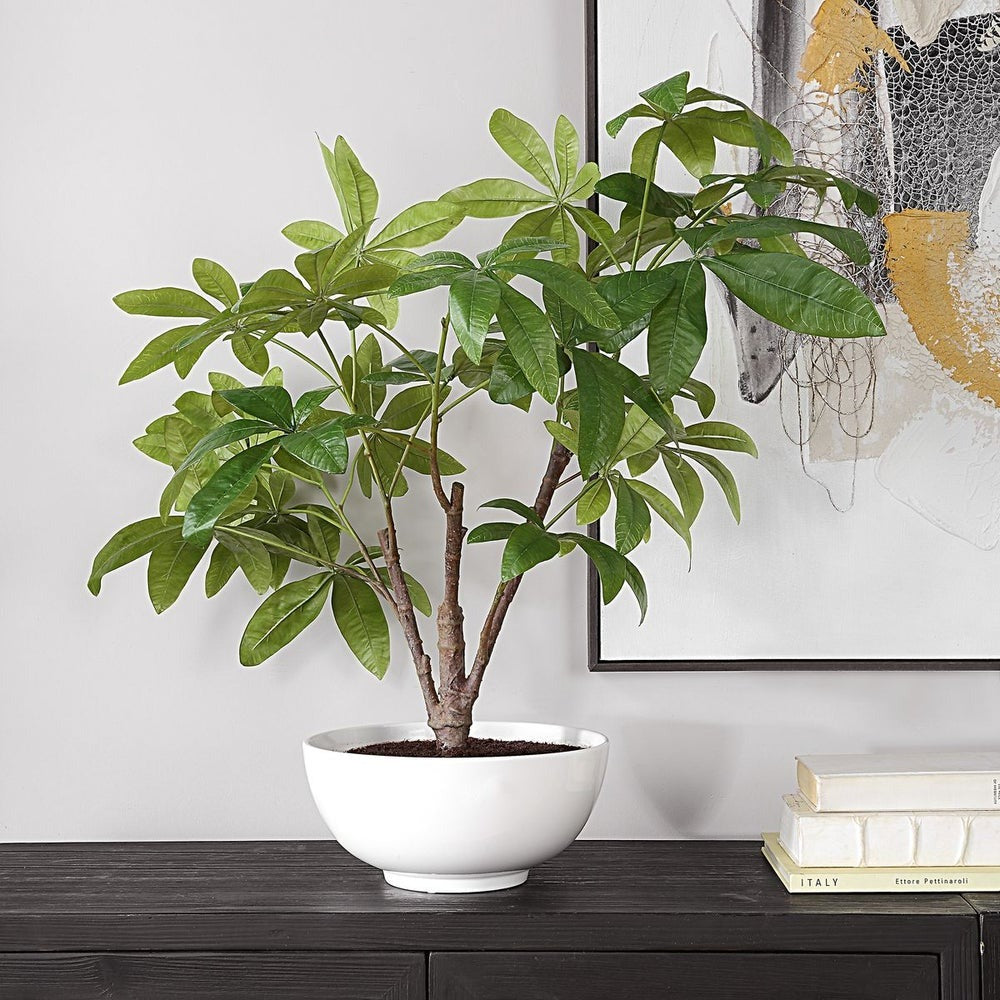 Pachira Money Tree by Uttermost