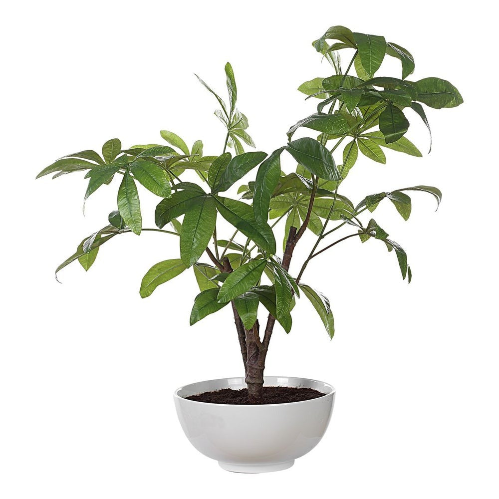 Pachira Money Tree by Uttermost