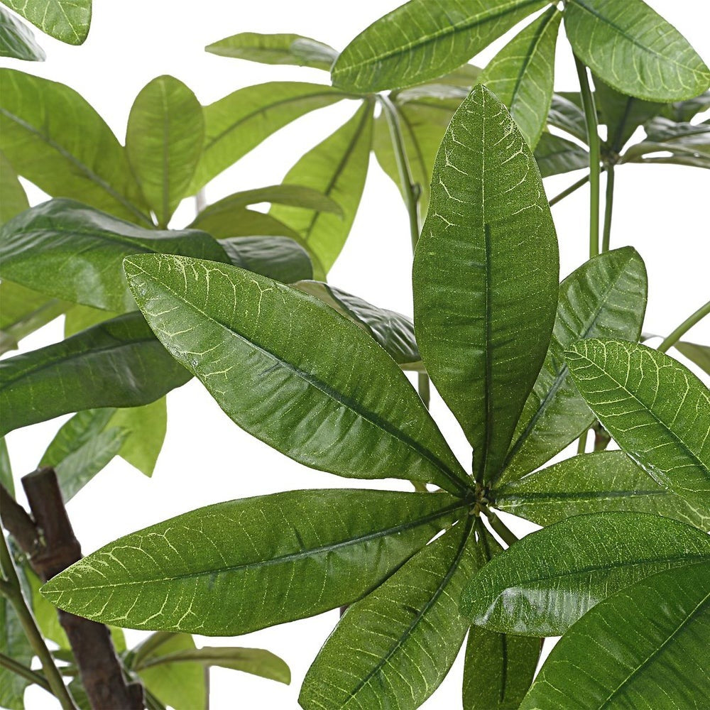 Pachira Money Tree by Uttermost