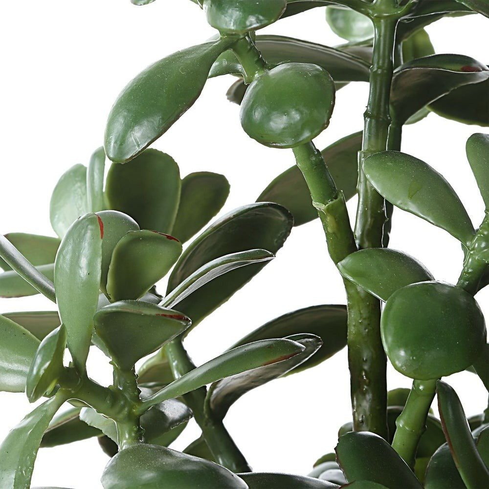 Crassula Jade Accent by Uttermost
