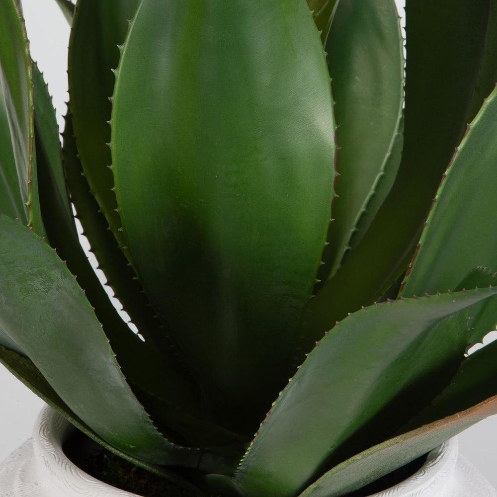 Tierra Agave Centerpiece by Uttermost