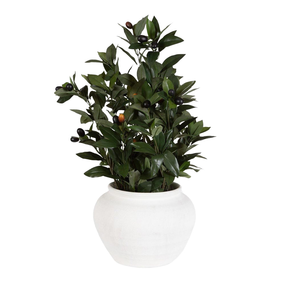 Elena Olive Centerpiece by Uttermost