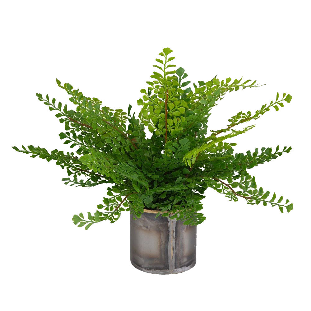 Maidenhair Fern Accent by Uttermost