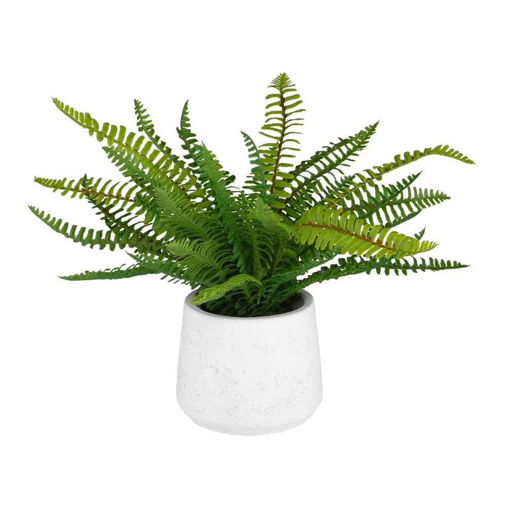 Boston Fern Accent by Uttermost