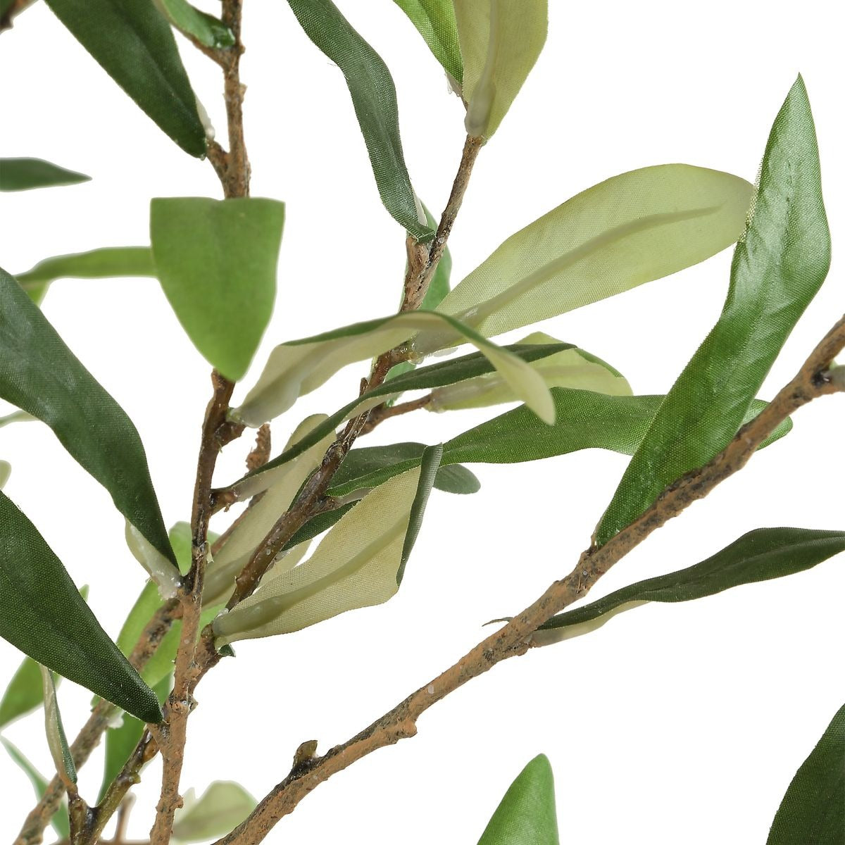 Abundance Potted Olive Tree by Uttermost