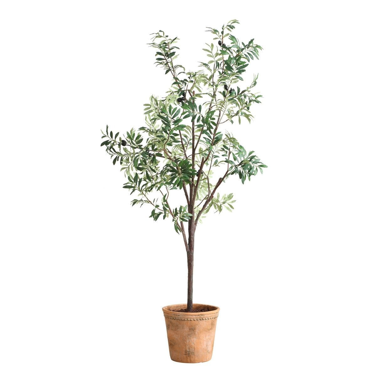 Olea Potted Olive Tree by Uttermost