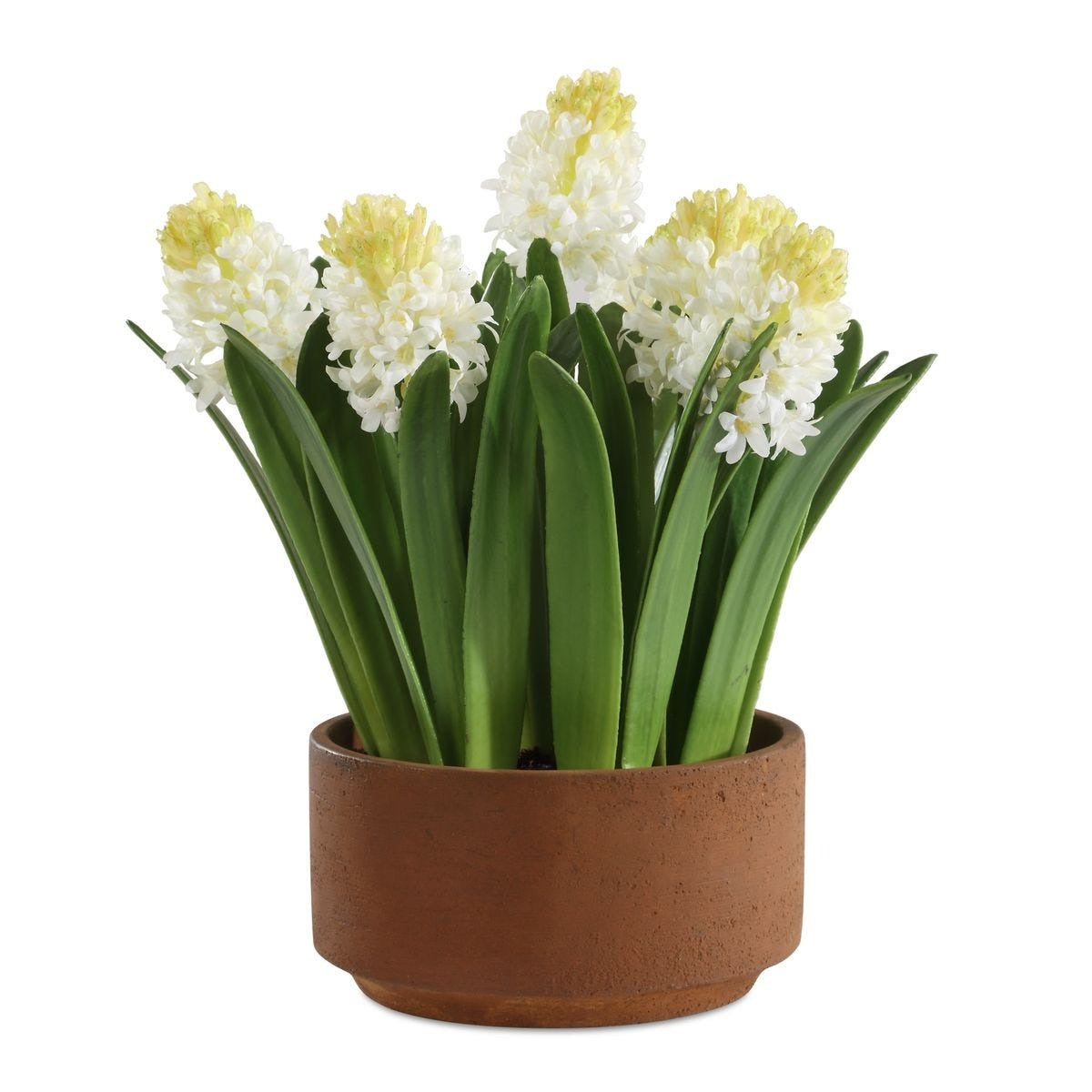 Sincerity Potted Hyacinth Plant by Uttermost
